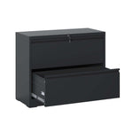 Load image into Gallery viewer, Modern Black 2-Drawer Steel Lateral File Cabinet with Lock