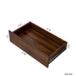 Load image into Gallery viewer, 20295766