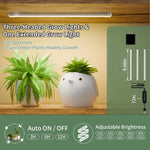 Load image into Gallery viewer, 20284634