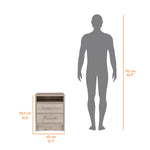 Load image into Gallery viewer, 20579006